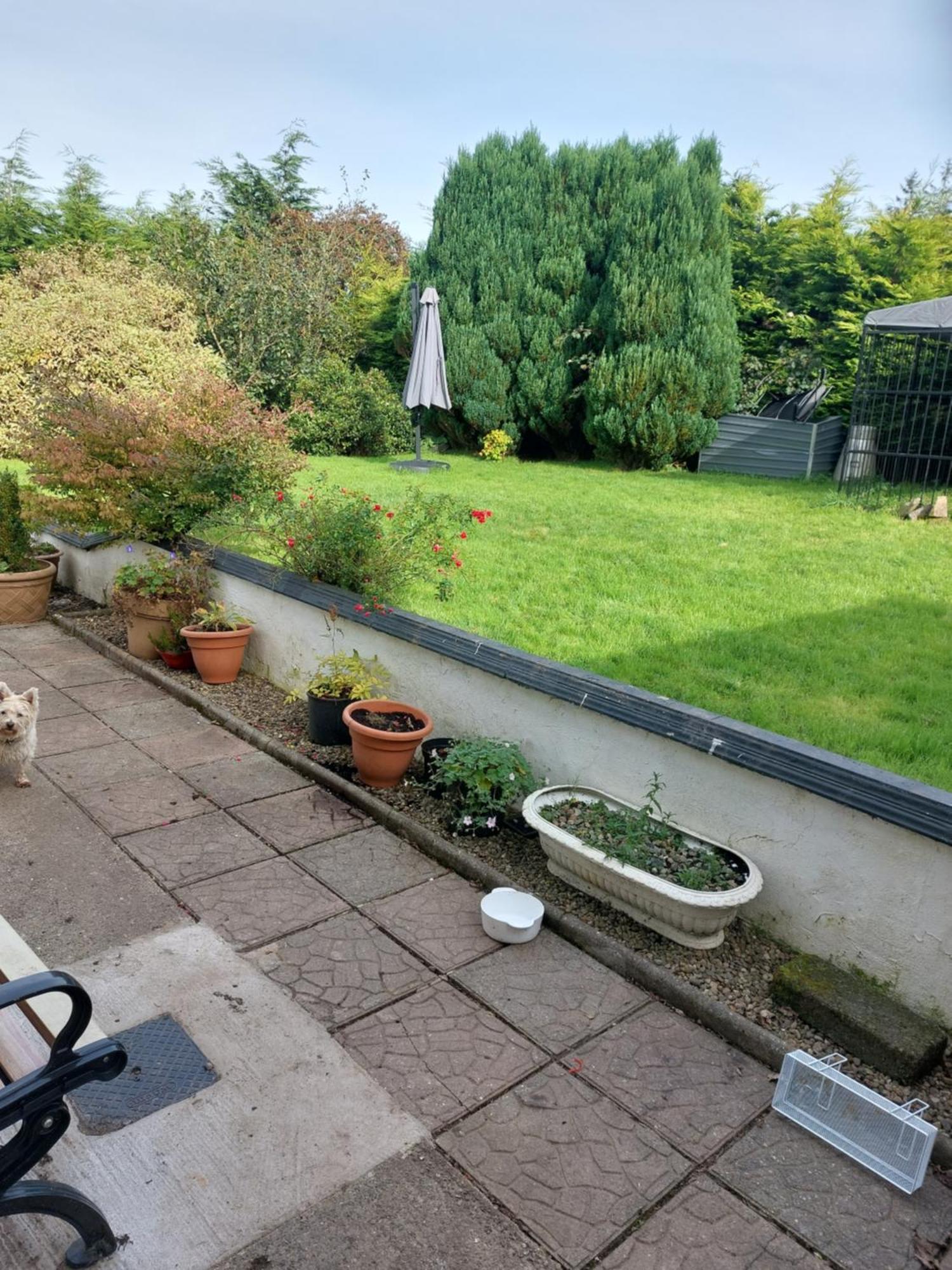 Appartement Hillside Haven à Tipperary Extérieur photo